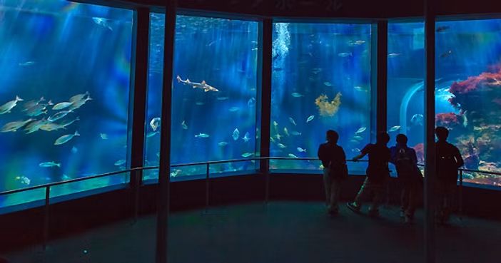 下田海中水族館