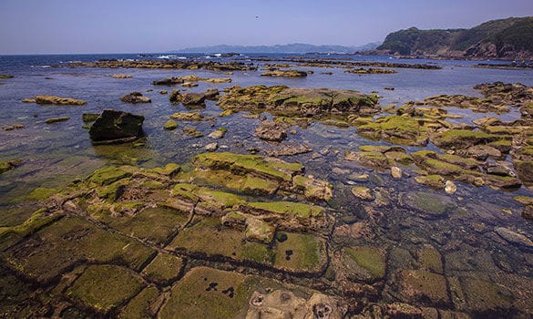 恵比須島