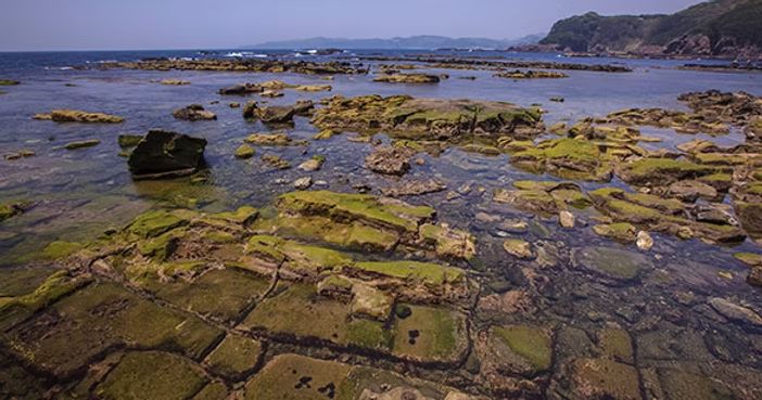 恵比須島